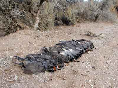 Two shy of a limit at 3 o'clock
