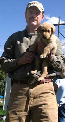 Nothing cuter than a puppy - Yellow Lab Nothing cuter than a puppy - Yellow Lab