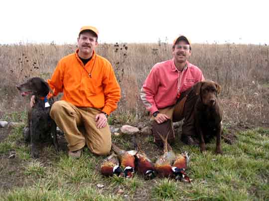 Nebraska Pheasant Hunting - Drathaar & Lab