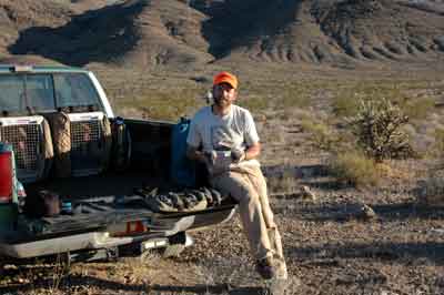 Gambels Quail Winter at 60 degrees
