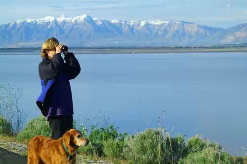 Birding with Shannon - Golden Retriever