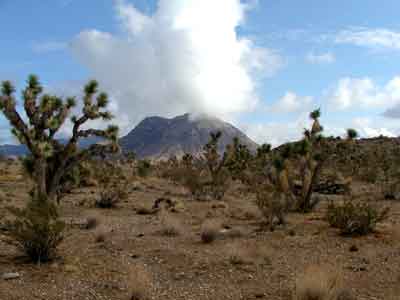 Mojave Desert Country