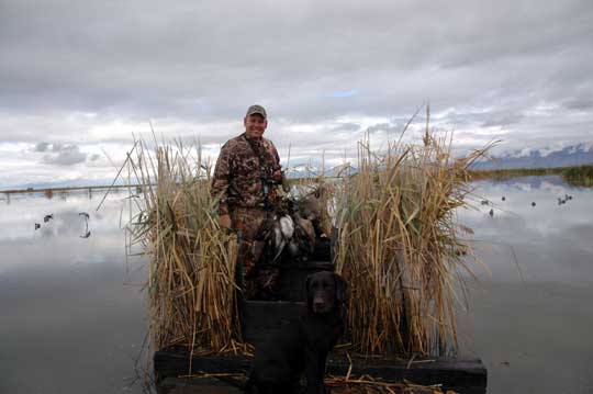 Proper introduction to water help dogs for later success in training and in the field