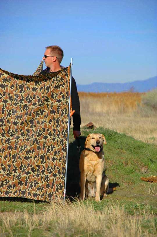Waiting at the line - Weber Retrievers Hunt Test Waiting at the line - Weber Retrievers Hunt Test