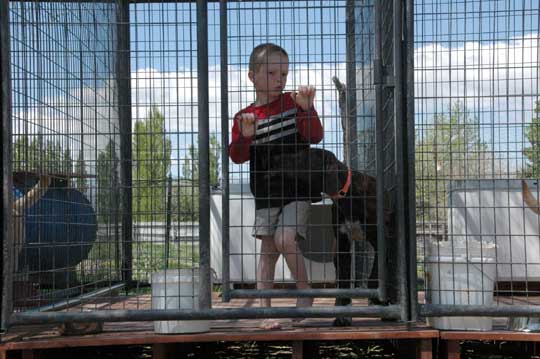 Canine Socialization kids and dogs