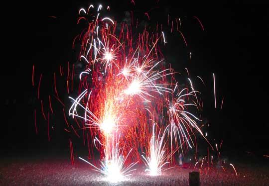 July 4th and dogs