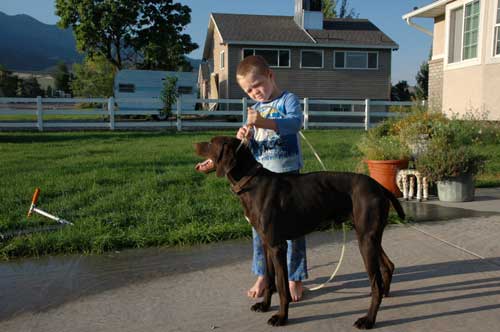 Walking dog on leash