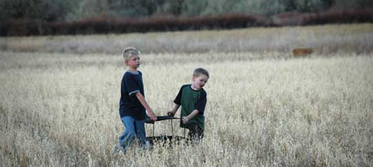 Excellent Field Help Excellent Field Help