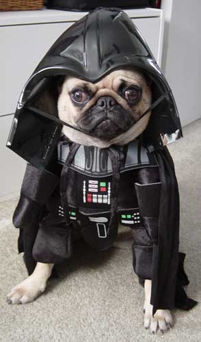 Darth Vader Doggie