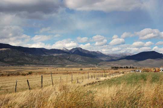Utah Pheasant Hunting Utah Pheasant Hunting