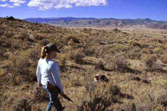 Mid-Season Chukar Hunting Mid-Season Chukar Hunting