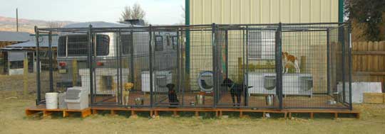 During the fall and winter the kennels face directly south for max sun