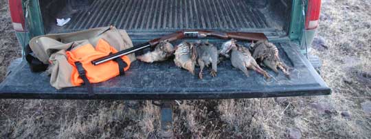 Utah Chukar Limit Utah Chukar Limit