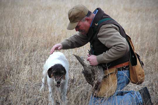 A proud wirehair owner. The old girl proved she still has it! A proud wirehair owner. The old girl proved she still has it!
