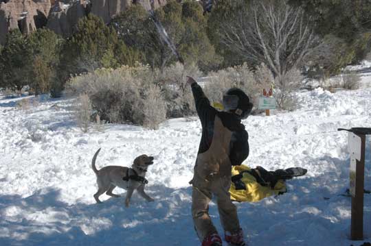 Boy Scouts will play with a dog for hours on end Boy Scouts will play with a dog for hours on end