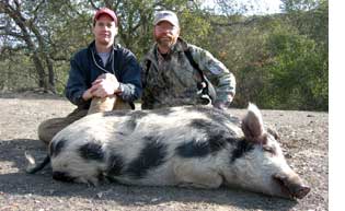 Pig Hunting