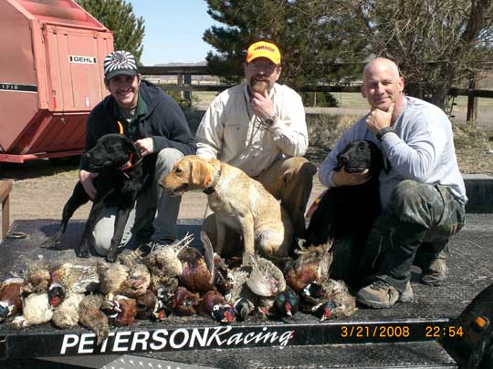 Labrador Retrievers - It takes birds to make a bird dog.