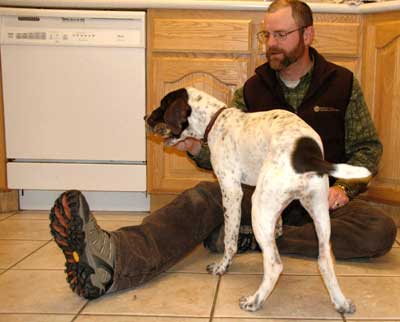 Getting a bird dog started on birds early is important to building drive Getting a bird dog started on birds early is important to building drive