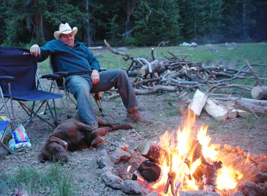 camping with dogs, they seem to enjoy the fire as much as we do camping with dogs, they seem to enjoy the fire as much as we do