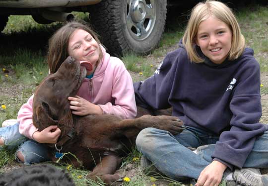 Camping with dogs and kids is a lot of fun Camping with dogs and kids is a lot of fun
