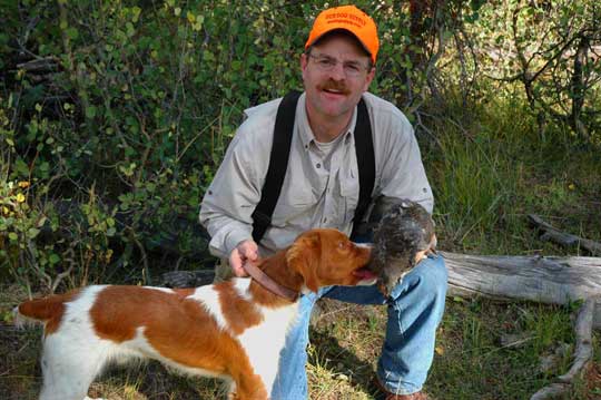 Brittany and blue grouse