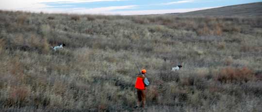 Pheasant Hunting on Private Land