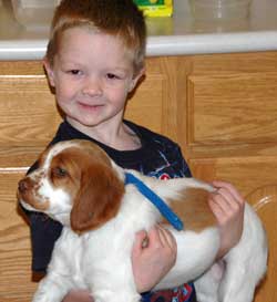 American Brittany and a white kid