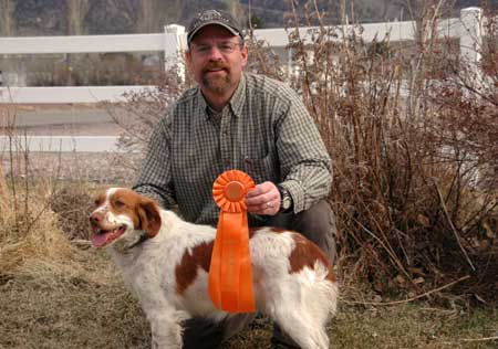 American Brittany - Annabella's Dreamboat Annie