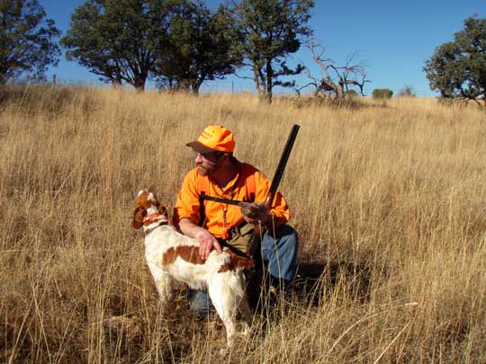 Brittany on Mearn's quail hunt - She did a great job pointing quail!