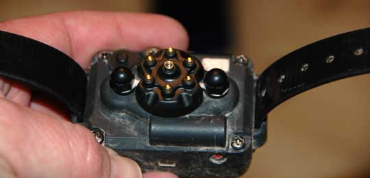 SGC-LBM e-collar adapter