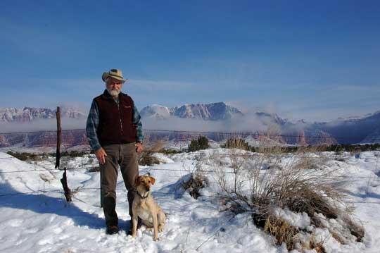Labrador Retriever in Southern Utah