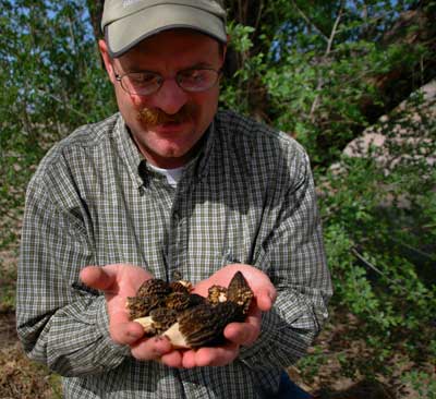 Black Morels - Cove Mountain Kennels