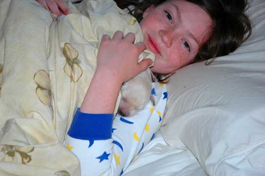 Early puppy Socialization - nothing better than a kid for this task