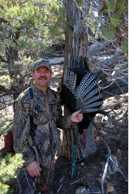 Turkey Hunting on the Zion Unit, Utah