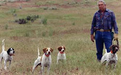 Legendary Dog trainer Dave Walker