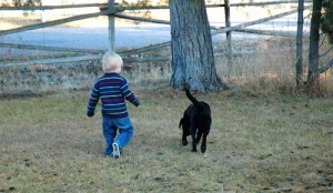 Black Lab and boy
