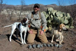 Blue Quail Hunting in Arizona