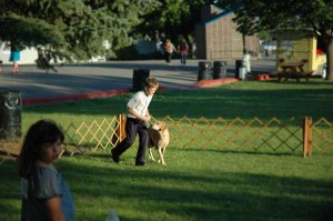Sam Obedience Ring
